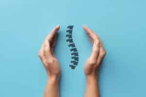 The,Silhouette,Of,The,Spine,In,The,Hands,Of,A