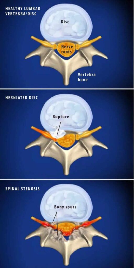 1771634378_1-1.jpeg-1