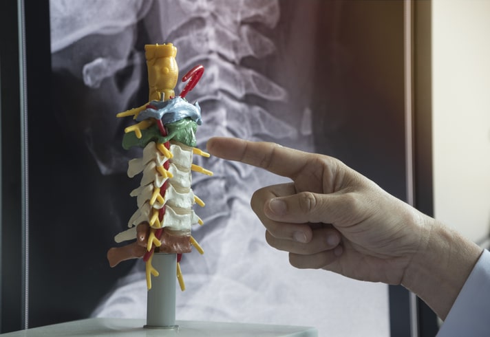 Doctor demonstrating cervical spine model iStock 948504366